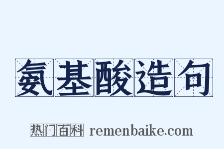 氨基酸造句是什么意思的图片